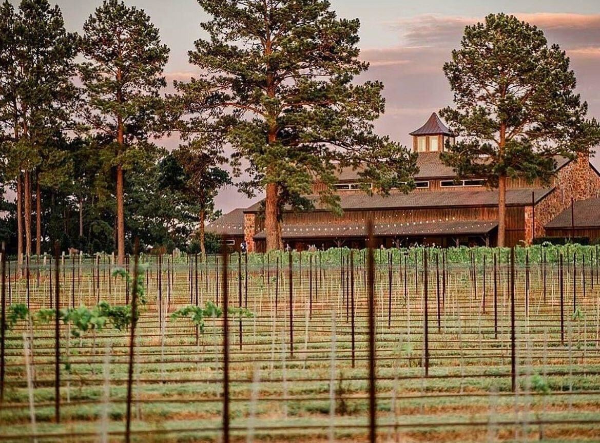 The Vine Weddings