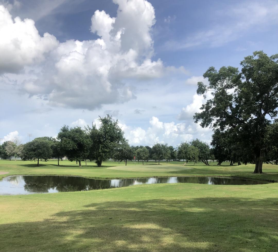 Golf Courses Near The Vine