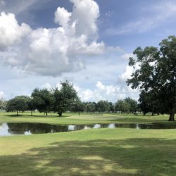 Golf Courses Near The Vine